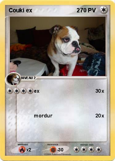 Pokemon Couki ex                            2