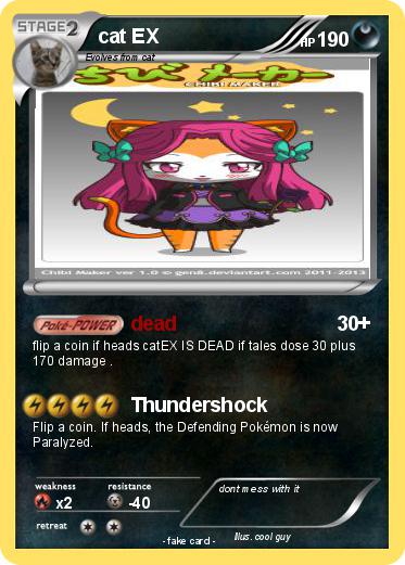 Pokemon cat EX