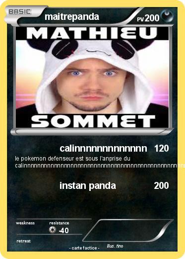 Pokemon maitrepanda