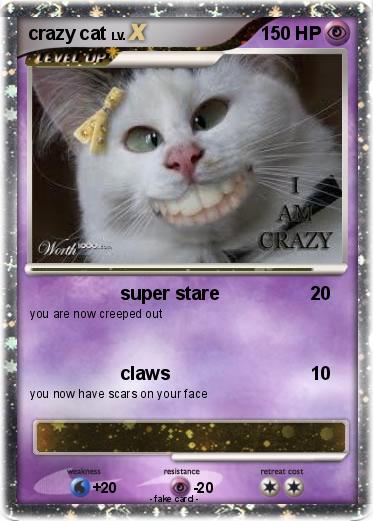Pokemon crazy cat