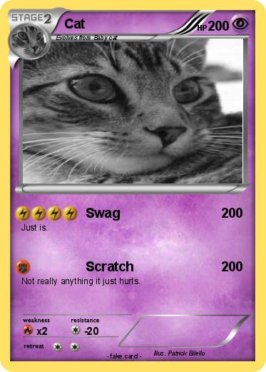 Pokemon Cat