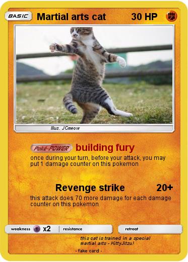 Pokemon Martial arts cat