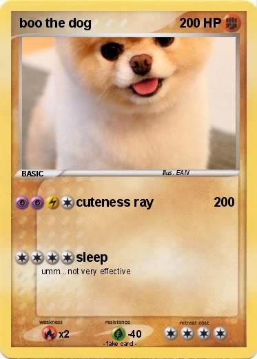 Pokemon boo the dog