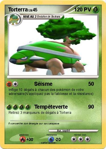 Pokemon Torterra