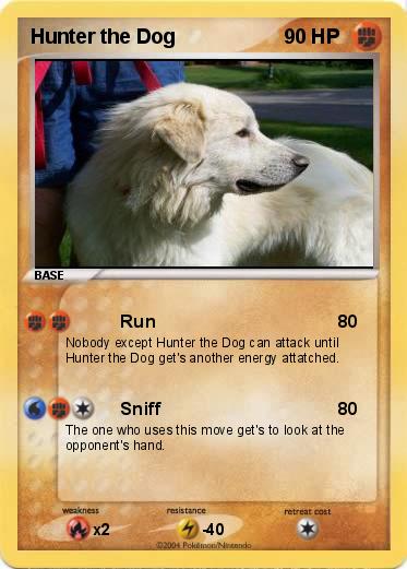 Pokemon Hunter the Dog