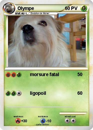 Pokemon Olympe
