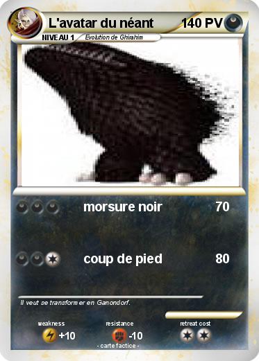 Pokemon L'avatar du néant