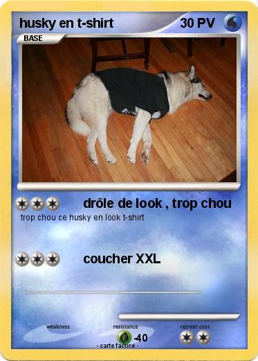 Pokemon husky en t-shirt