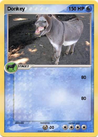 Pokemon Donkey