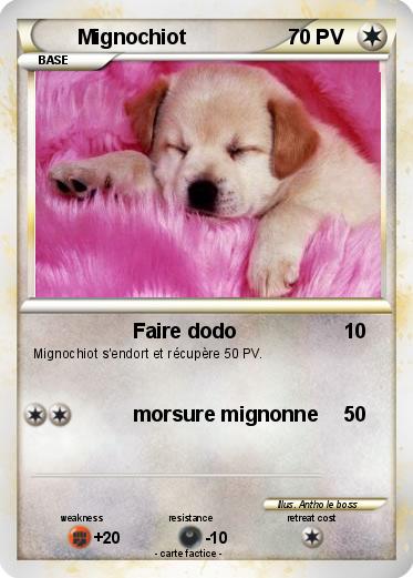 Pokemon Mignochiot