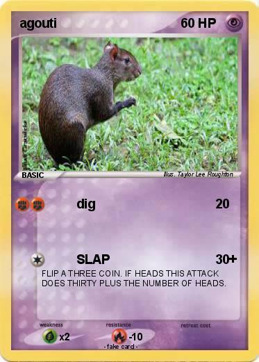 Pokemon agouti