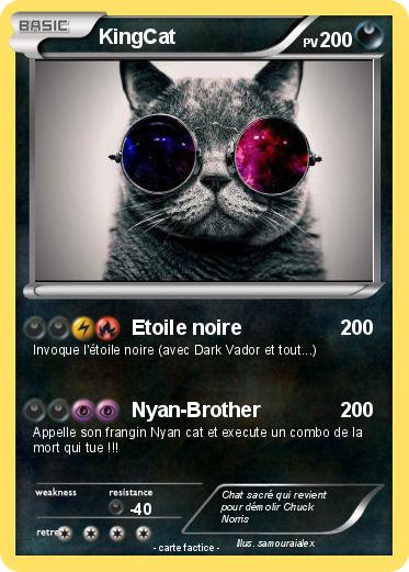 Pokemon KingCat