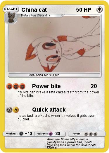 Pokemon China cat