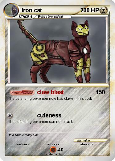 Pokemon iron cat