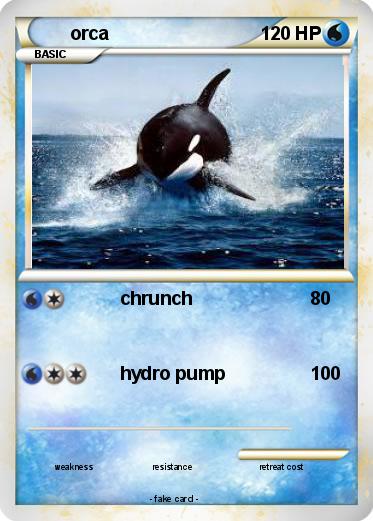 Pokemon orca
