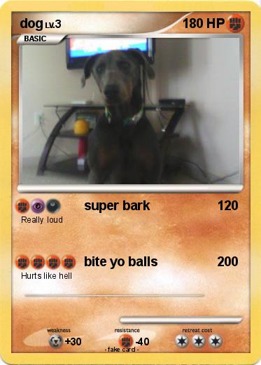 Pokemon dog
