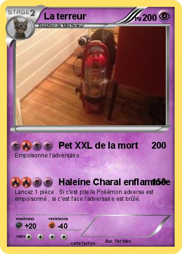Pokemon La terreur