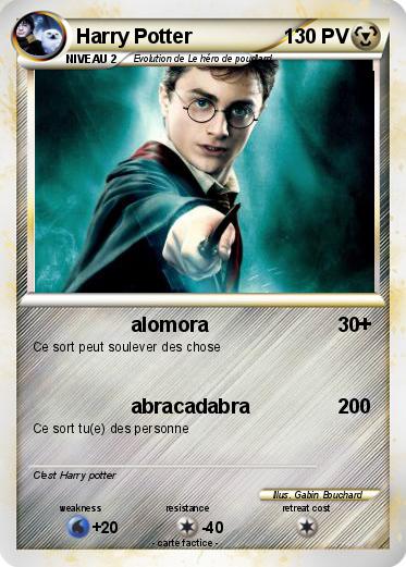 Pokemon Harry Potter