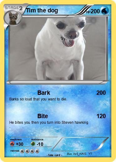 Pokemon Tim the dog