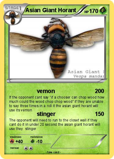 Pokemon Asian Giant Horant