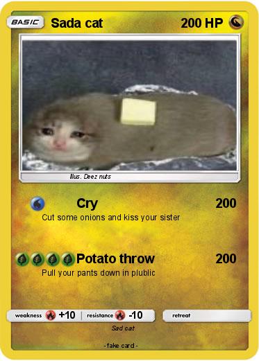 Pokemon Sada cat