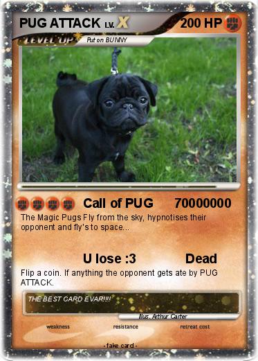 Pokemon PUG ATTACK