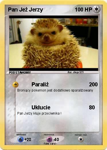 Pokemon Pan Jeż Jerzy