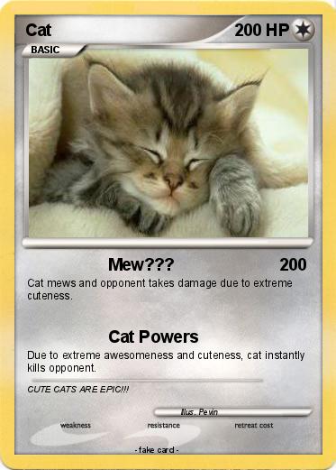 Pokemon Cat