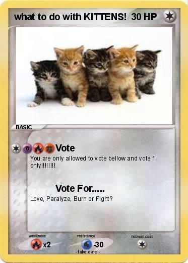 Pokemon what to do with KITTENS!