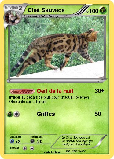 Pokemon Chat Sauvage