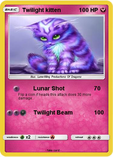Pokemon Twilight kitten
