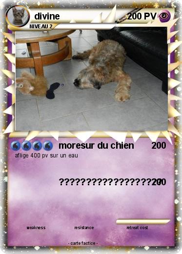 Pokemon divine