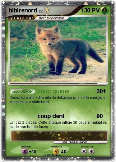 Pokemon bibirenord
