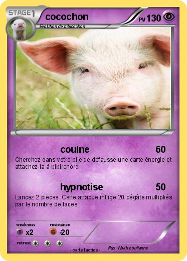 Pokemon cocochon