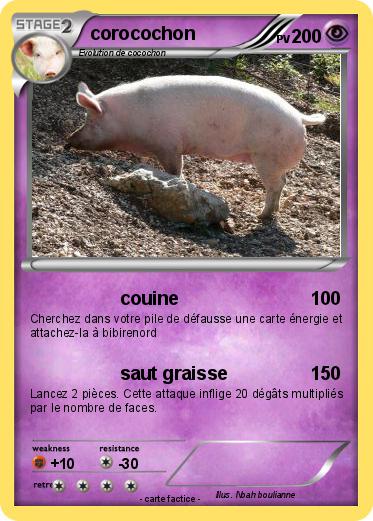 Pokemon corocochon