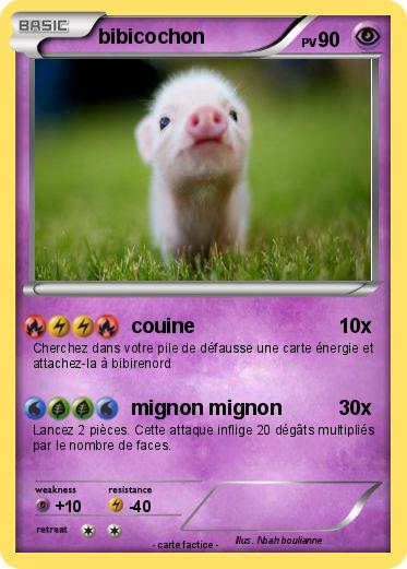 Pokemon bibicochon