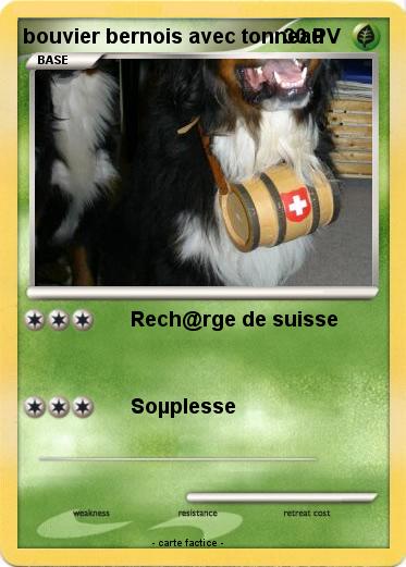 Pokemon bouvier bernois avec tonneau
