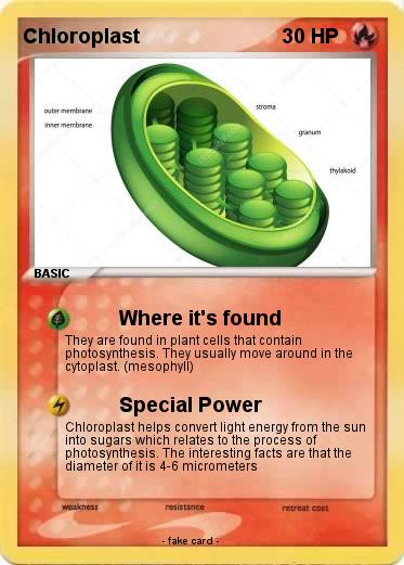 Pokemon Chloroplast