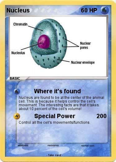 Pokemon Nucleus