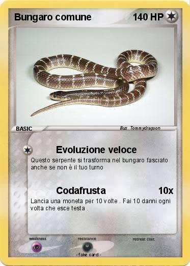 Pokemon Bungaro comune