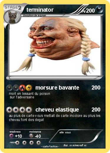 Pokemon terminator