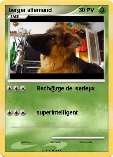 Pokemon berger allemand