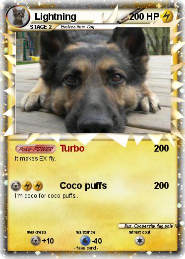 Pokemon Lightning