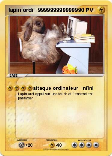 Pokemon lapin ordi   9999999999999