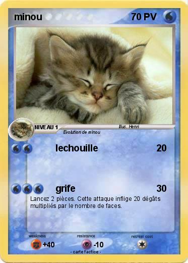 Pokemon minou