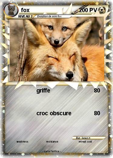Pokemon fox