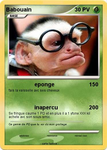 Pokemon Babouain