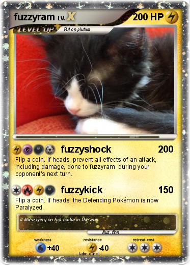 Pokemon fuzzyram