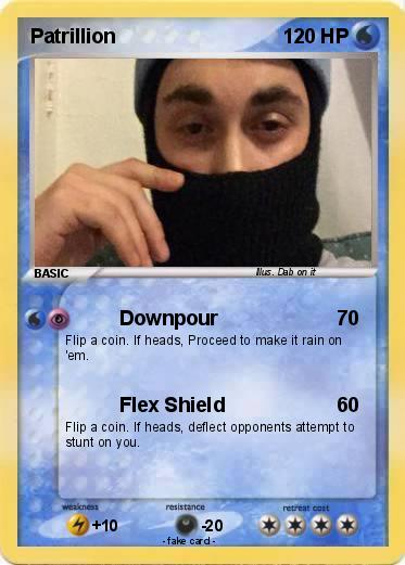 Pokemon Patrillion