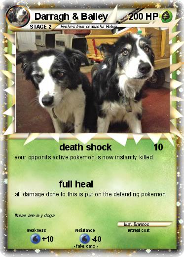 Pokemon Darragh & Bailey